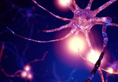 illustration of a neuron connected to other neurons